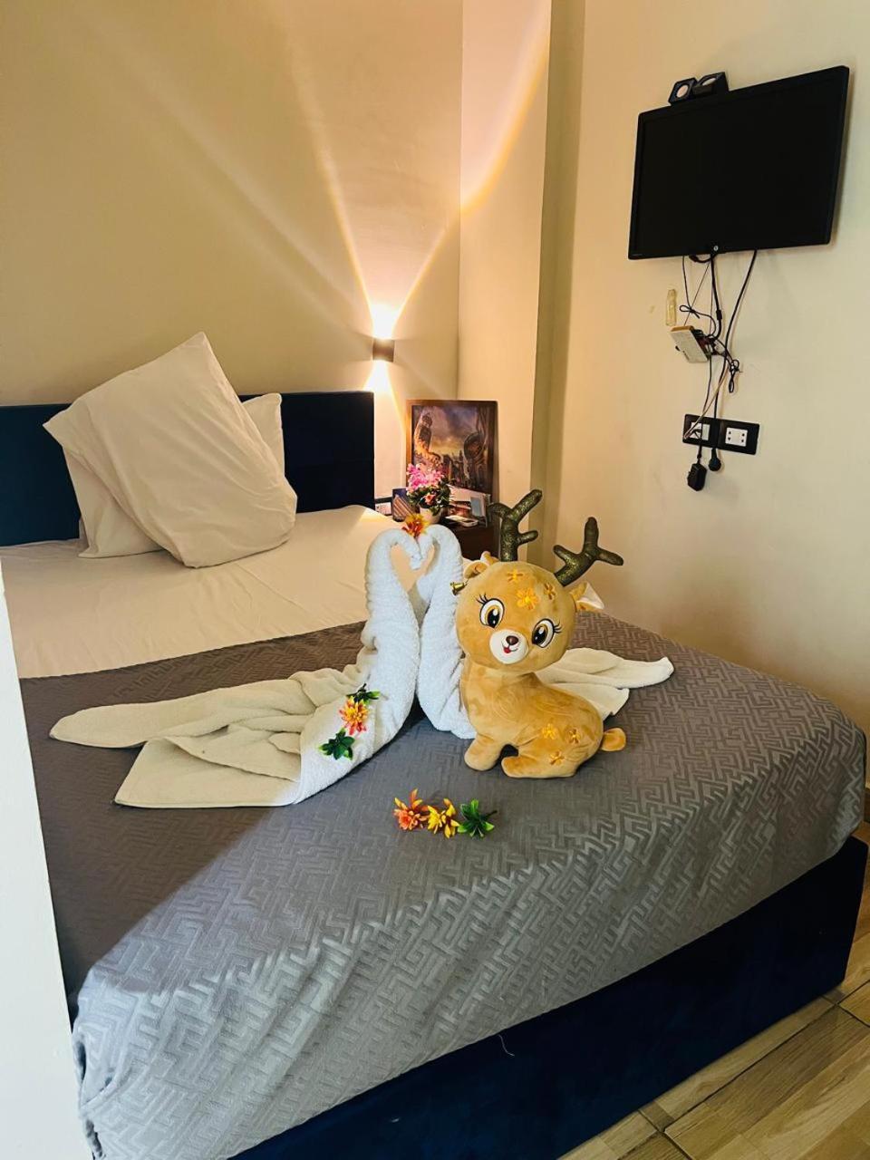Revent Hotel Каїр Екстер'єр фото